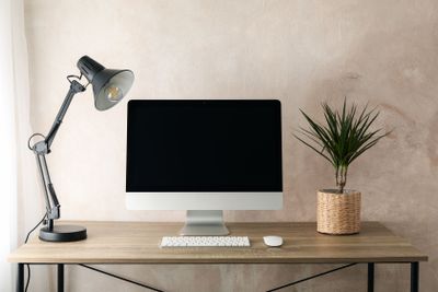 Workplace with computer and plant on wooden table. Light...