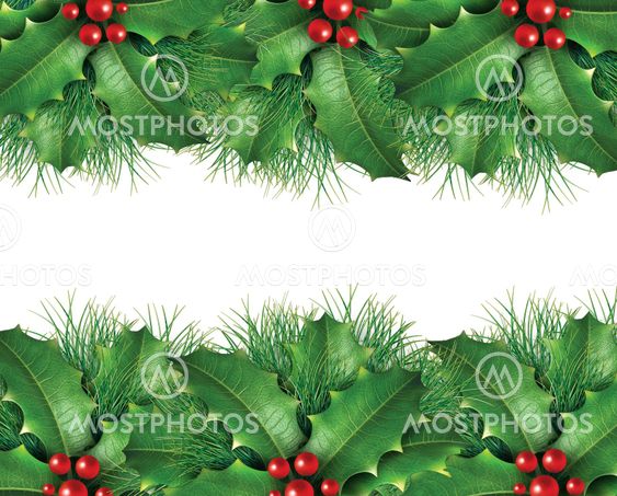 Green pine Christmas background image
