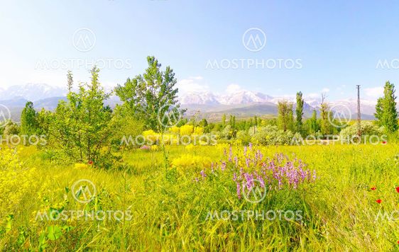 Taurus mountains