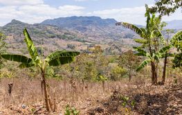 Mountains of Northern Nicaragaua