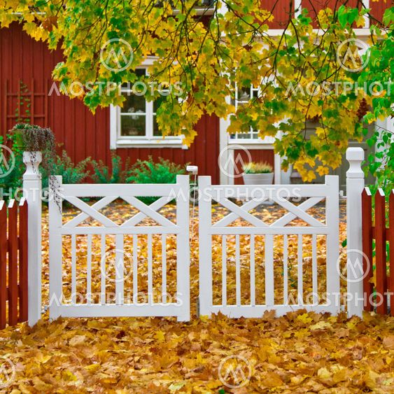 Trädgård med höstfärger 2