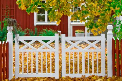 Trädgård med höstfärger