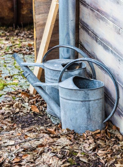 Two vintage watering cans standing outside in leafs