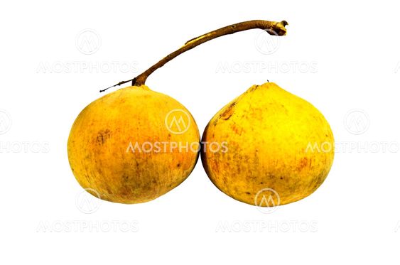 Santol