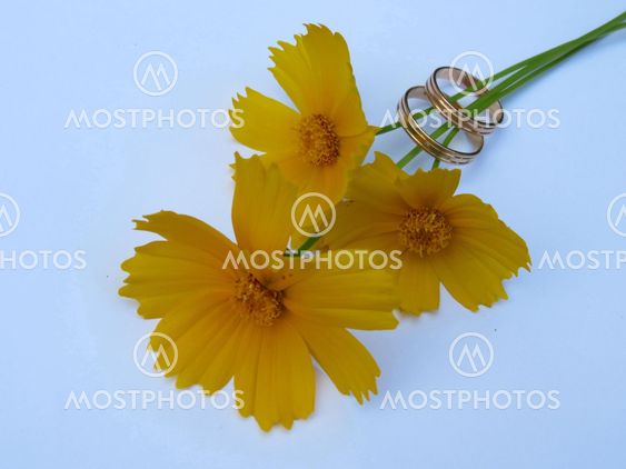 Yellow flowers and wedding rings