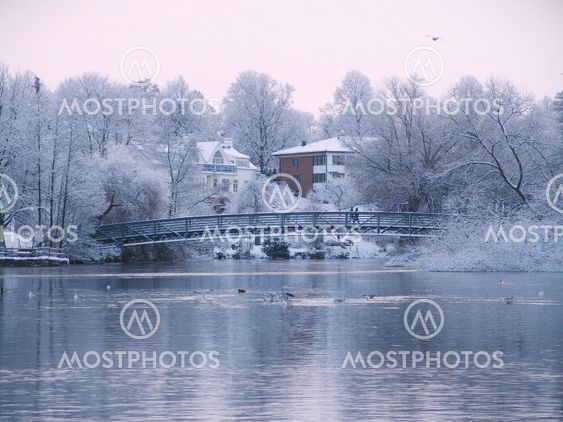 Sweden in winter
