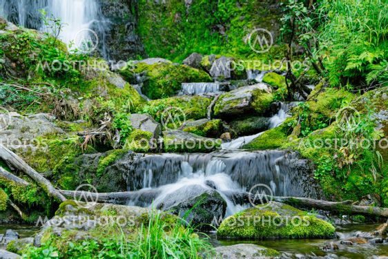 Forest stream in rainforest. Waterfall among mossy rocks...