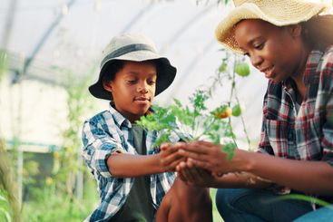 Gardening, mother or son with vegetables, learning or...