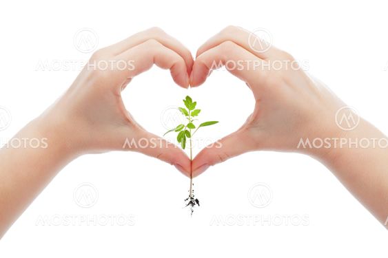 Love and protect nature and life