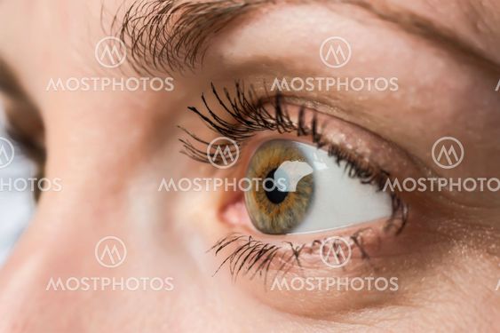 closeup eye and iris of young woman