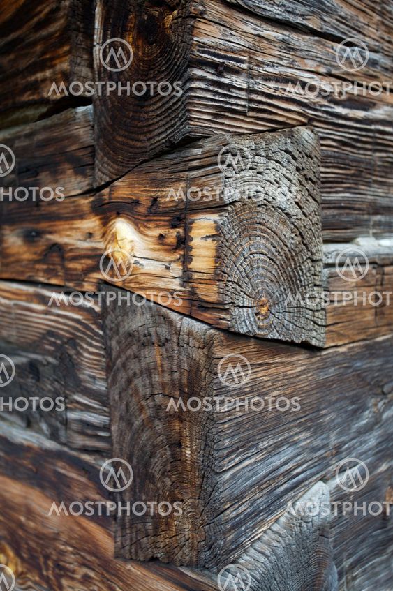 Dovetail Log Joinery By Skylight Mostphotos