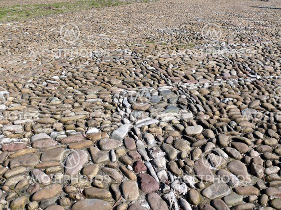 texture of a pebble sidewalk