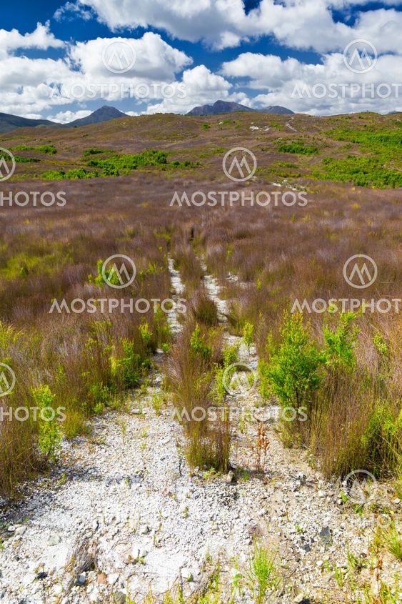 australia grass land