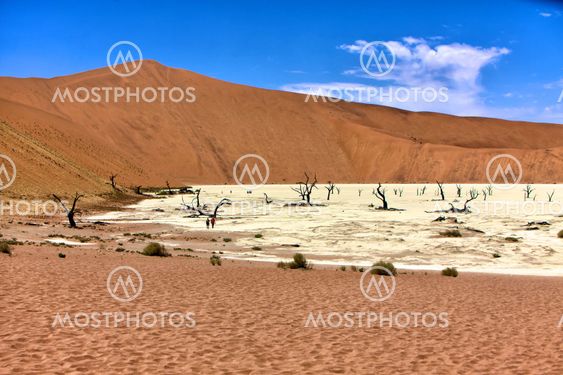 deadvlei in the area of sossuvlei namibia africa