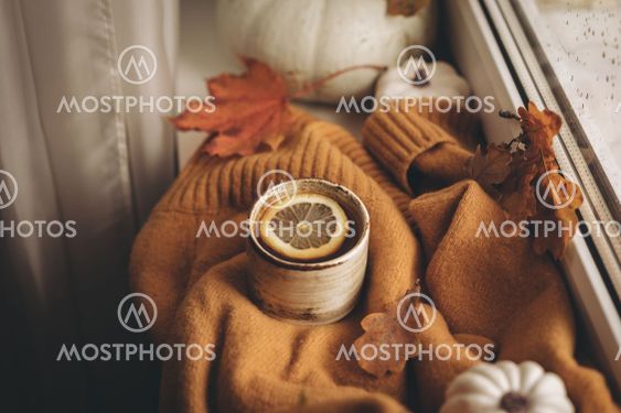 Cozy autumn still life