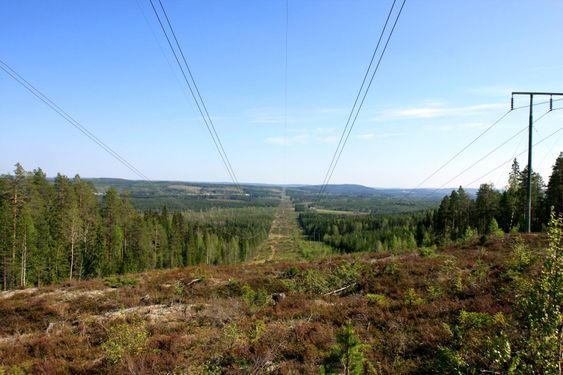 Power line in the forest, wires of electricity transmissions