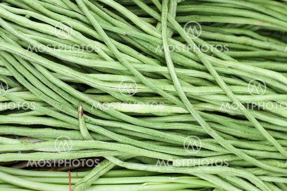 Yardlong beans