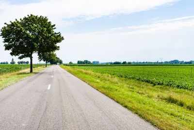 country landscape with road in Alsace region