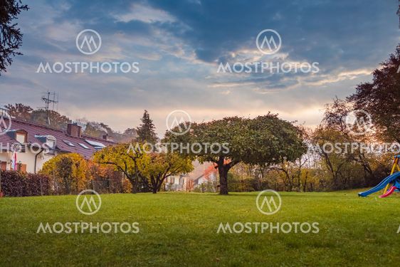 autumnal garden