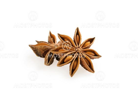 Anise stars composition on white