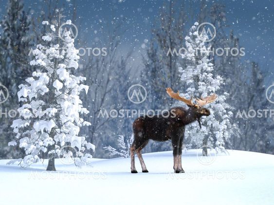 3D rendering of a majestic moose in a winter landscape.