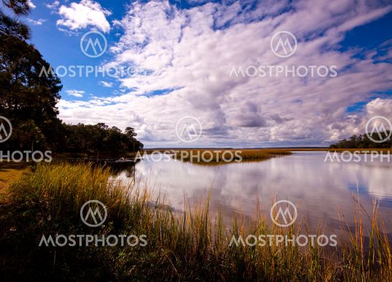 Marsh and Sky