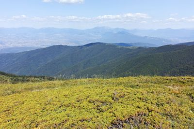 Summer landscape of Belasitsa Mountain, Bulgaria