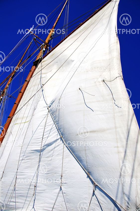 white sails of yachts and blue sky