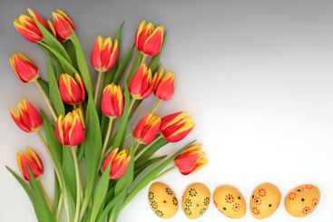 Easter Eggs and Spring Tulip Flowers Seasonal Symbols
