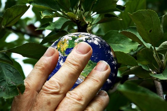 Picking the earth