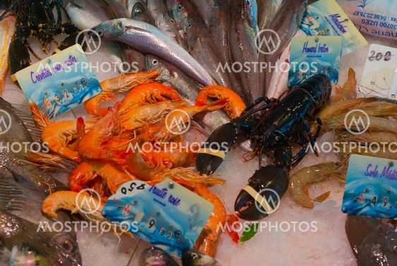 Meeresfrüchte - Seafood