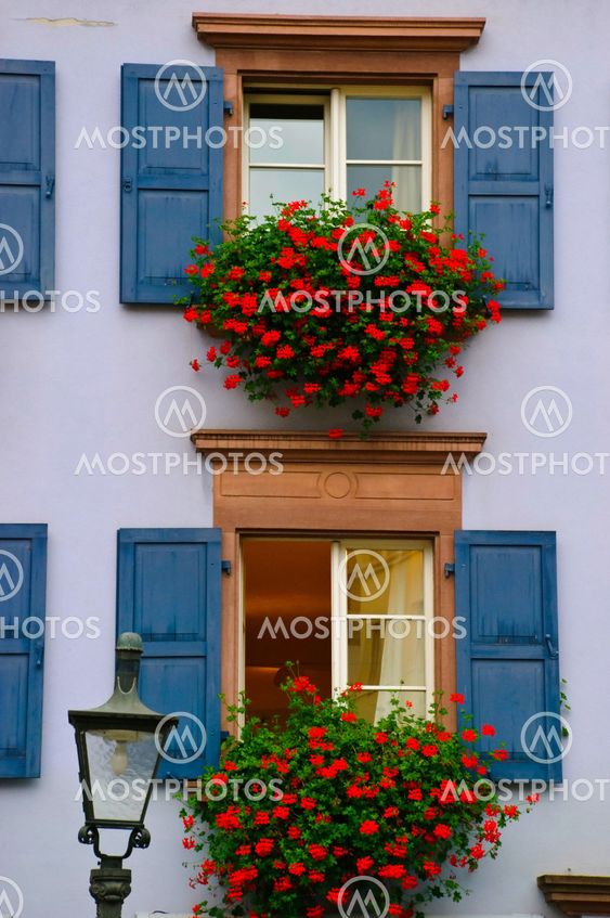 House fronted