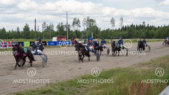 Hevonen