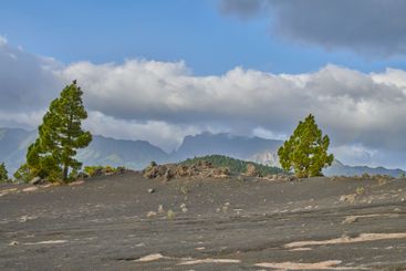 Ash, landscape and volcanic terrain of mountain outdoor...
