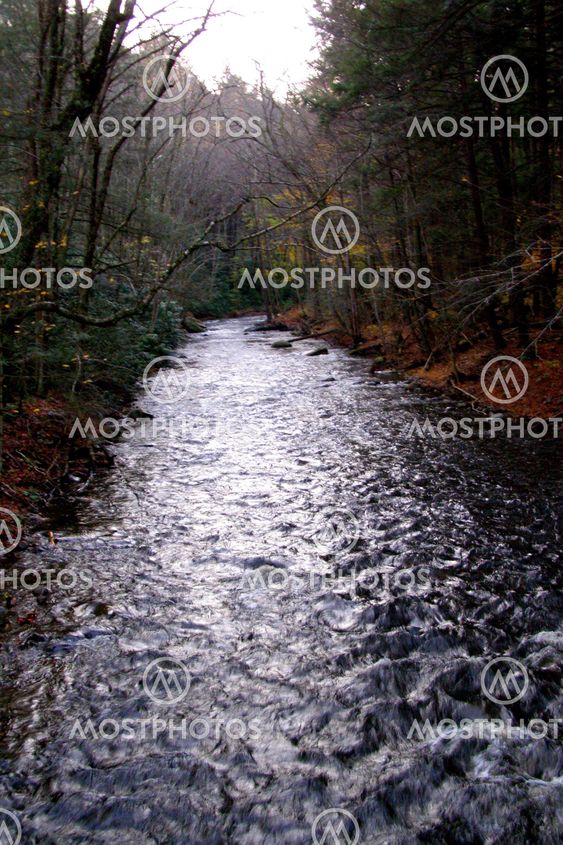 Dingman's Creek