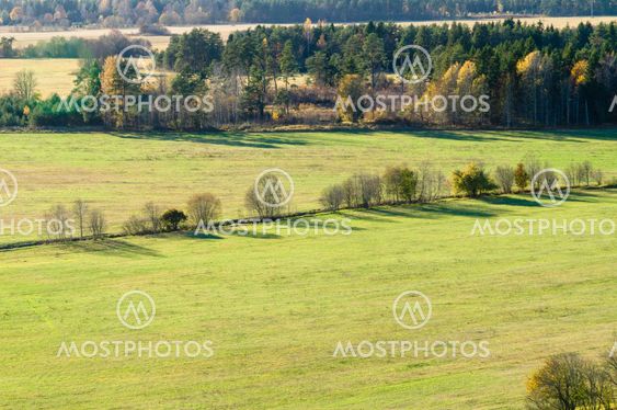 From above view on grass field and colorful trees