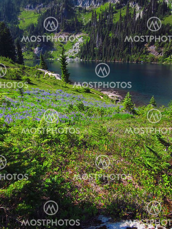 Mountain Landscape