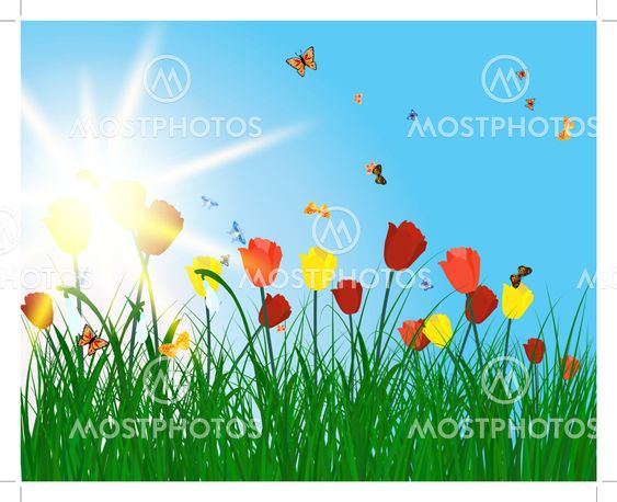 Color meadow