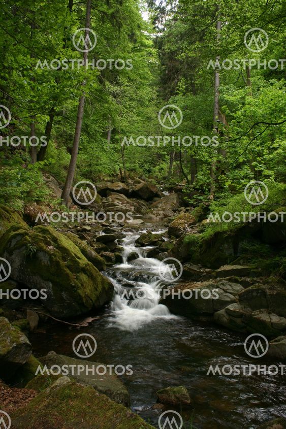 Mountain stream