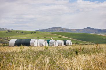 Agriculture, farm or chicken coop in countryside for...