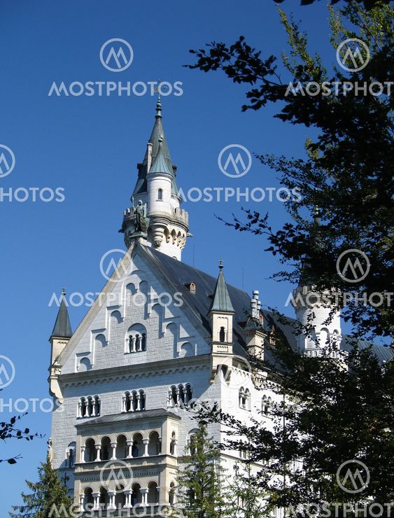 Castle Neuschwanstein - forest view