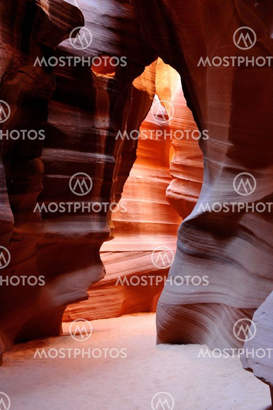 The Bear in Upper Antelope Canyon