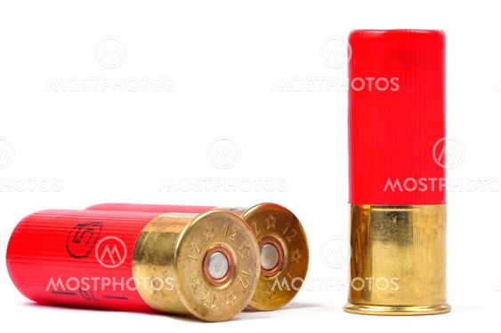 Shotgun Shells