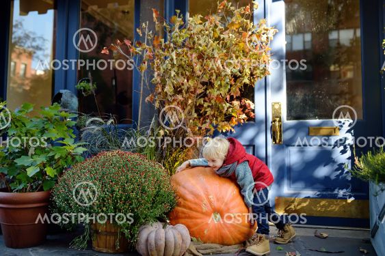 Little boy hugging giant pumpkin. Child having fun on...
