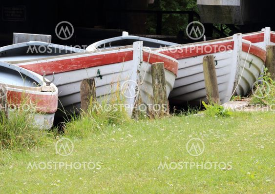 Line of rowing boats in water at grass field