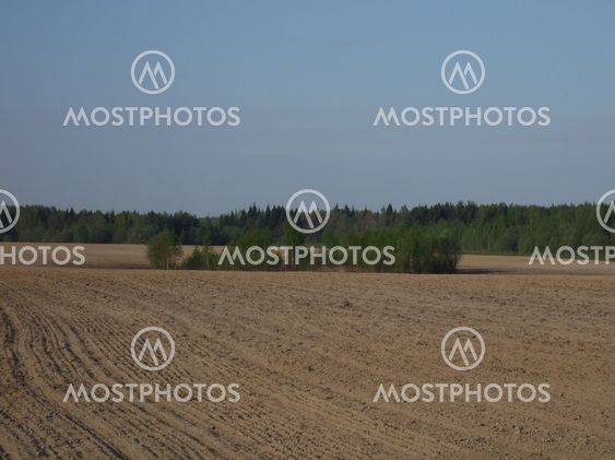 Plowed field