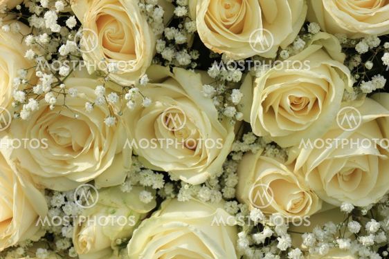 white rose and gypsophila bouquet