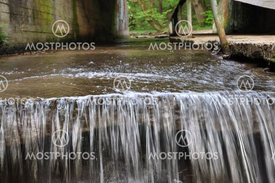 Creek in the park