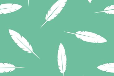 Bird Feather Seamless Pattern texture
