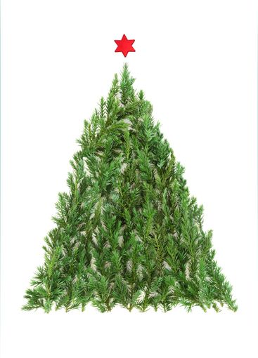 Christmas Juniper Fir Tree with Red Star Abstract